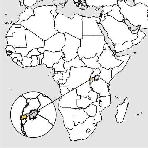 weaverscoffee.mom Map of where you will find Rwanda Coffee in Africa.