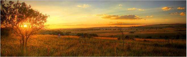 weaverscoffee.mom Image of African Sunset over African Coffee Blend Farms.