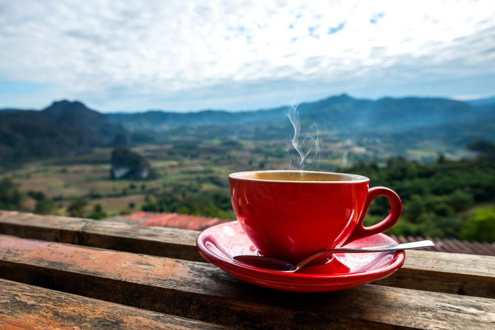 The Ultimate Guide to High Caffeine Coffee