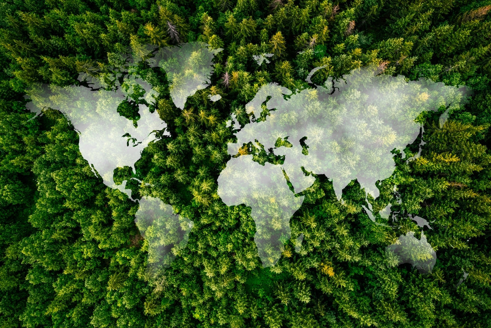Global map against a woodland with cloudy sky and a global village concept.