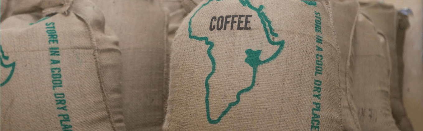 weaverscoffee.mom Large green coffee sacks of Kenya AA Coffee.