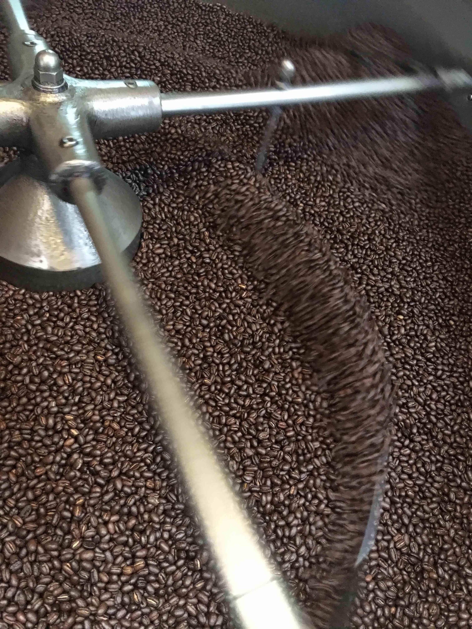 weaverscoffee.mom Papua New Guinea Peaberry Coffee in the cooling tray of a coffee roaster.