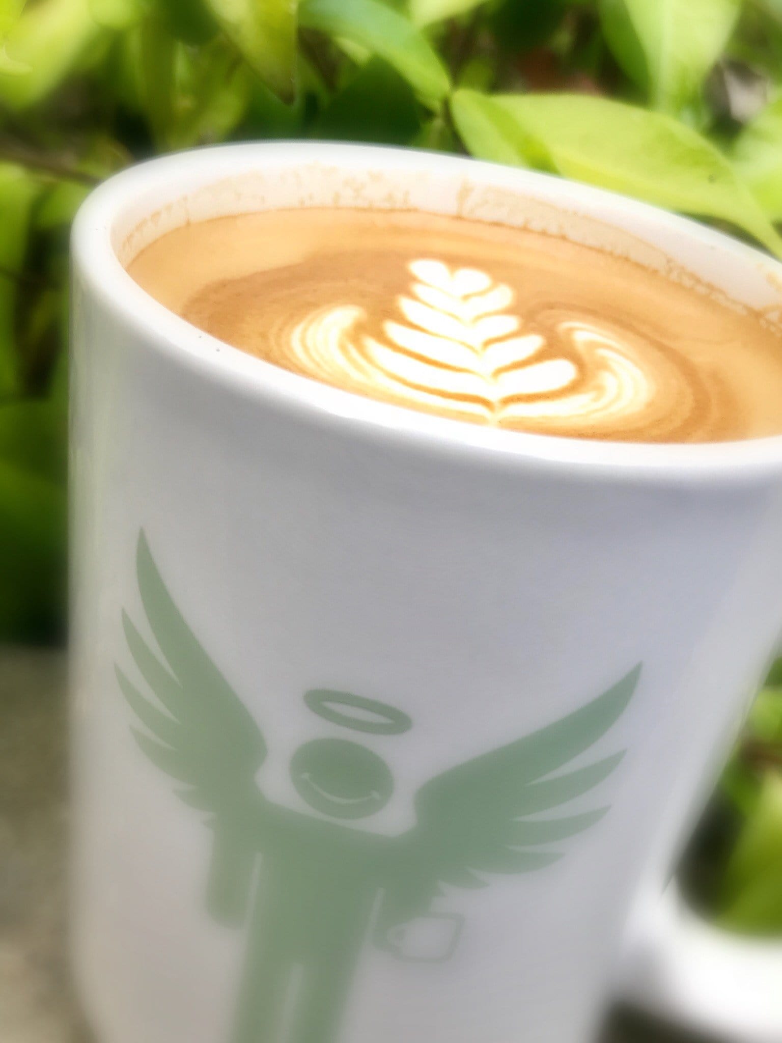 weaverscoffee.mom Peaberry Reserve Coffee 