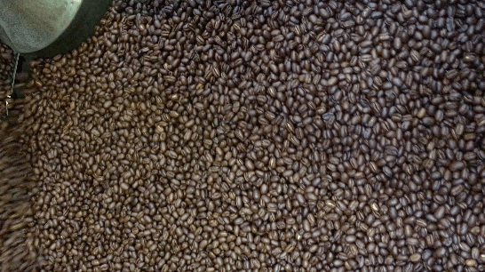 weaverscoffee.mom Close up of freshly roasted Kenya Coffee Peaberry.
