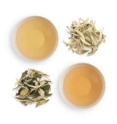 weaverscoffee.mom White Tea - Bai Mu Dan