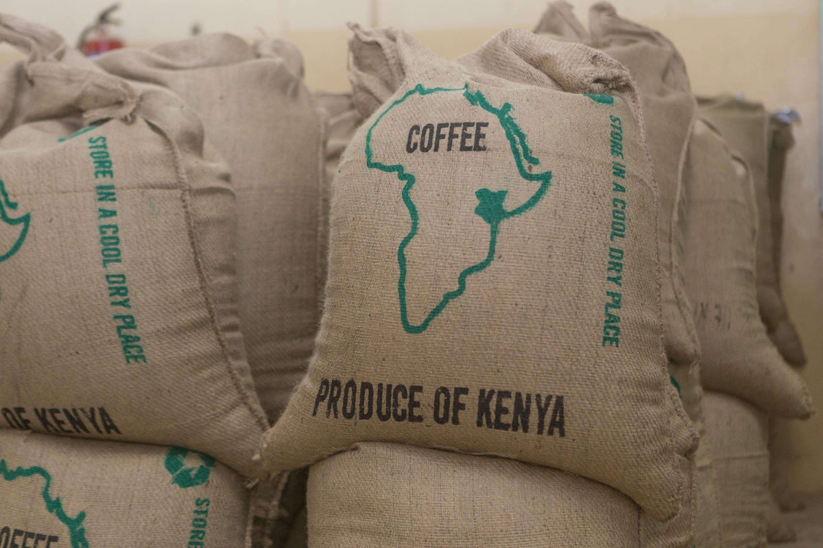weaverscoffee.mom Stacks of large green coffee sacks of Kenya AA Coffee.