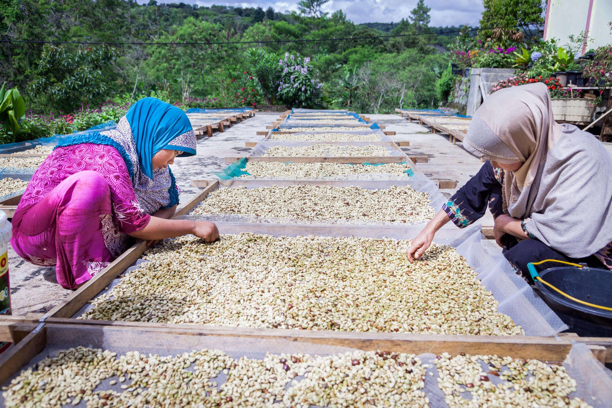 weaverscoffee.mom Sumatra Coffee