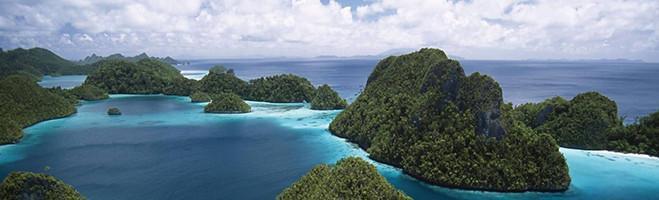 weaverscoffee.mom The island where Papua New Guinea Peaberry Coffee is grown.
